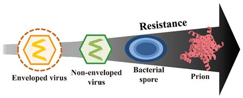 do autoclaves destory prions|prion inactivation process.